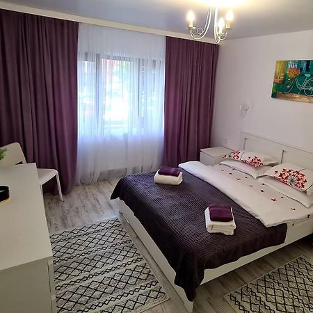 Ferienwohnung La Fluturi Apartament Suceava Exterior foto